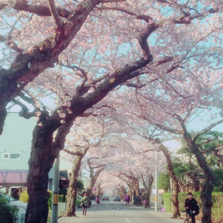 Stay Akeboshi Kan Hakodate Luaran gambar